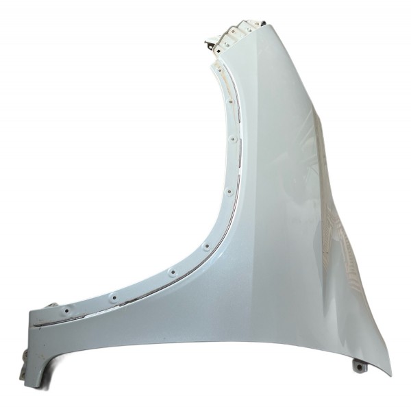 Para Lama Esquerdo Liso Sw4 2016 2017 2018 2019 2020